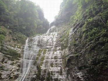 粉黛乱子草花海视频